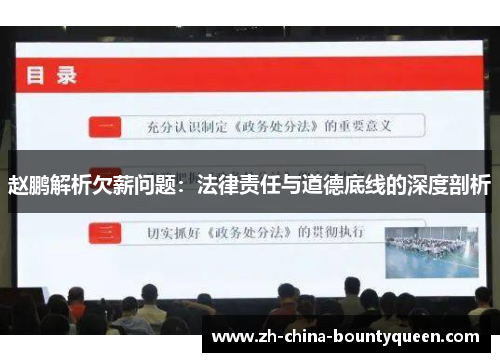 赵鹏解析欠薪问题:法律责任与道德底线的深度剖析 赵鹏解析欠薪问题:法律责任与道德底线的深度剖析