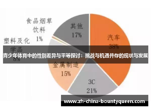 青少年体育中的性别差异与平等探讨:挑战与机遇并存的现状与发展 青少年体育中的性别差异与平等探讨:挑战与机遇并存的现状与发展