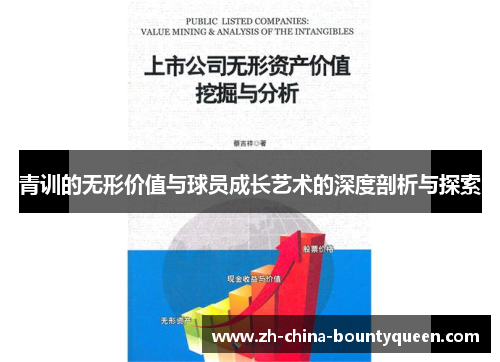 青训的无形价值与球员成长艺术的深度剖析与探索