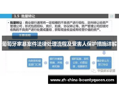 葡萄牙家暴案件法律处理流程及受害人保护措施详解
