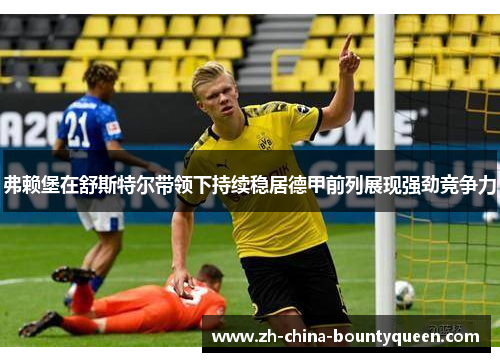 弗赖堡在舒斯特尔带领下持续稳居德甲前列展现强劲竞争力