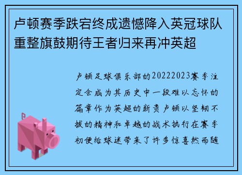 卢顿赛季跌宕终成遗憾降入英冠球队重整旗鼓期待王者归来再冲英超